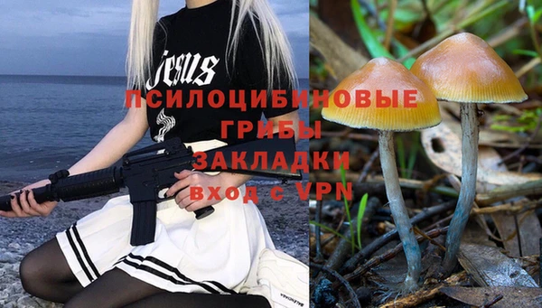трава Лабытнанги