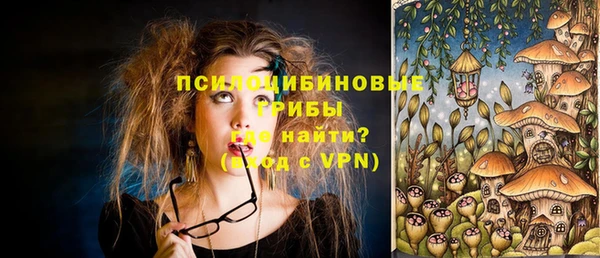 трава Лабытнанги