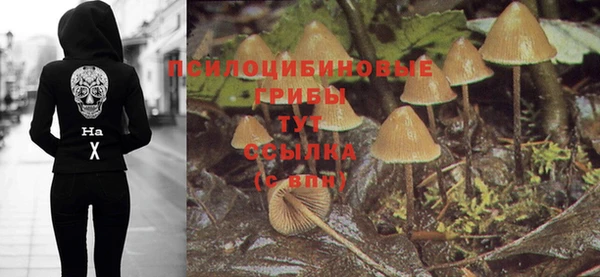 трава Лабытнанги