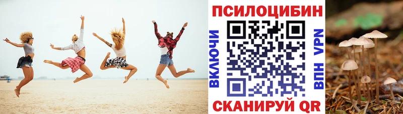 Купить где  Уварово  Псилоцибиновые грибы MAGIC MUSHROOMS 